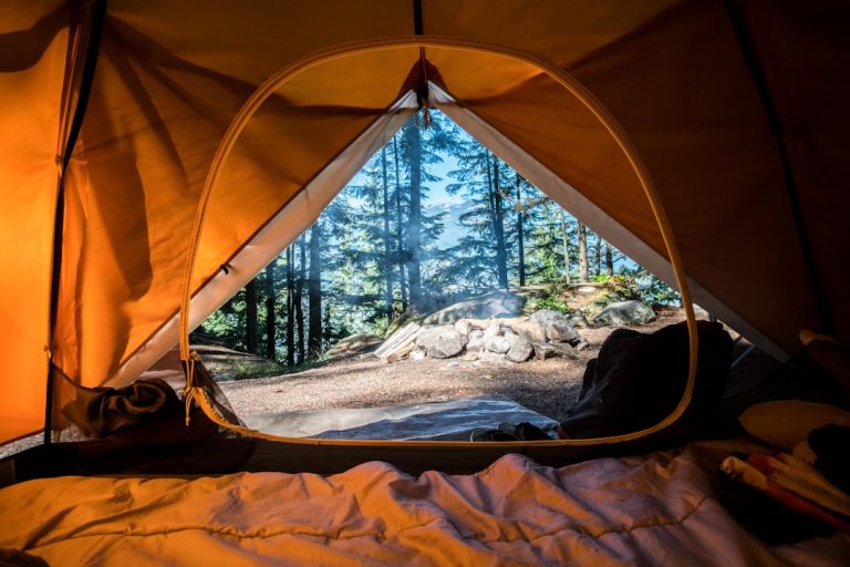 Backyard Adventures: Rediscovering Nature Right at Home